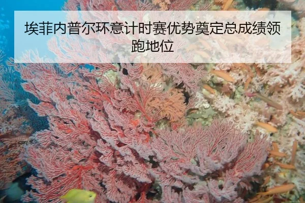 ai-fei-nei-pu-er-huan-yi-ji-shi-sai-you-shi-dian-ding-zong-cheng-ji-ling-pao-di-wei-2-283.jpg