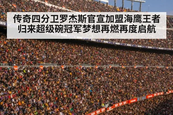 football stadium crowd