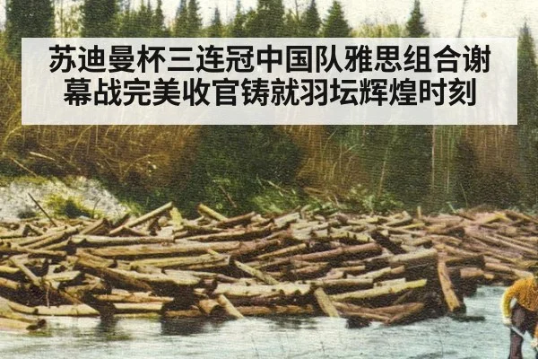 苏迪曼杯三连冠中国队雅思组合谢幕战完美收官铸就羽坛辉煌时刻