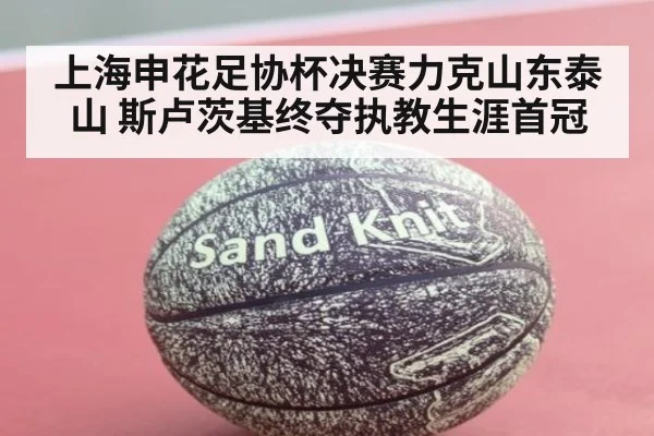 上海申花足协杯决赛力克山东泰山 斯卢茨基终夺执教生涯首冠